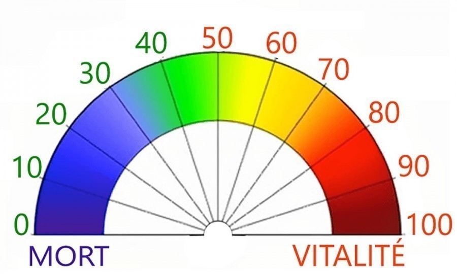 Quels sont les différents types de cadrans taux vibratoire disponibles ?